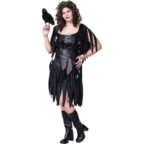 Sexy Evil Fairy Plus Size Costume Gothic Pirate