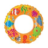 Intex 59242NP 24" Inflatable Transparent Ring