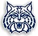 Arizona Wildcats 12'' Car Magnet