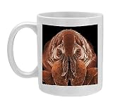 Photo Mug of LRDS-54 Cat Flea from Ardea