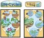Life Cycle Posters (Set of 4)