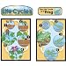 Life Cycle Posters (Set of 4)