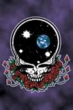 Grateful Dead ~ Grateful Dead Space Your Face Magnet