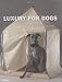 Luxury for Dogs