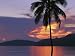Palm Tree Silhouetted against Fiery Clouds and Sea at Sunrise Photographic Poster Print by Mark Cosslett, 16x12