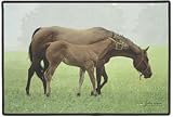 Cuddle Time Horse Mare and FoalJ ohn Weiss Doormat Door Mat