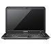 Samsung X420 14-inch Notebook (C2D ULV SU7300 1.3 GHz Processor, 3 GB RAM, 320 GB HDD HDD, ext. DVDRW, 6 Cell Battery, up to 9.5 Hours, HDMI, Webcam, Bluetooth, Windows 7 Home Premium, Silver/Black)