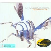 Fly Between Falls