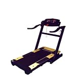 Phoenix Folding Treadmill 41Tetqa8QIL. SL160 Phoenix Folding Treadmill