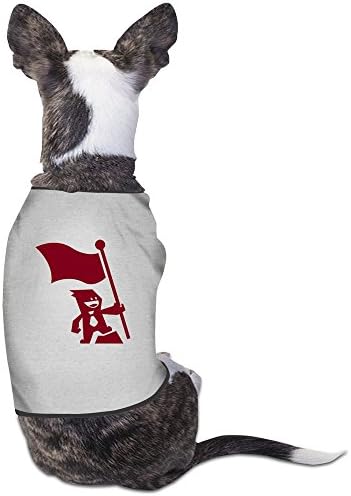 Capture The Flag Gray Pet T-Shirt