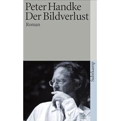 Der Bildverlust oder Durch die Sierra de Gredos: Roman (suhrkamp taschenbuch)