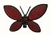 Set Of 4 January Red Garnet Birthstone Butterfly Pins #14721