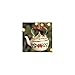 Lenox Holiday Tea Kettle Christmas Ornament