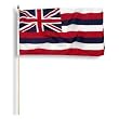 Hawaii Flag 12 x 18 inch