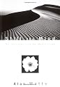 Still the Mind: An Introduction to Meditation