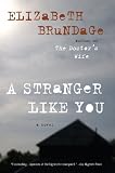 Image of A Stranger Like You: A Novel