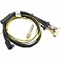 Audiovox Car CNPJEN1 Jenson Cable Adapter for NP2000UC