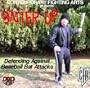 Batter Up: Defending Against Baseball Bat Attacks