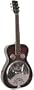 Gold Tone Paul Beard Signature Series PBR Roundneck Resonator Guitar (Vintage Mahogany)