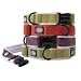 Planet Dog Cozy Hemp Adjustable Collar Apple Green Small
