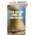 Sheep Look Up