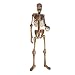 7' Mr. Bones Character Creation