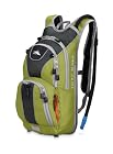 High Sierra Kahuna 70 Pack (Gecko, Graphite)