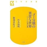 ゴミ分別の異常な世界―リサイクル社会の幻想 (幻冬舎新書)