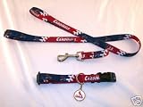 St. Louis Cardinals Dog Pet Set Leash Collar ID Tag XS