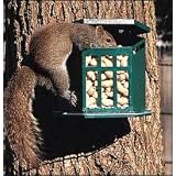 Bird Feeder, Squirrels Diner II