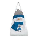 Pack of 2 NFL Detroit Lions Plush Snowman Christmas Door Decoration or Bags