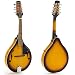 Hola! Music A Style Mandolin Instrument with Adjustable Truss-Rod Model HM-3TS, Glossy Sunburst Finish
