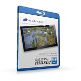 BluScenesGalleryMusee:Impressionism&PostImpressionism1080pBlu-rayDisc