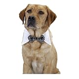 BLACK BOW TIE SM - SMALL