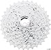 SRAM PG980 9spd cassette 11-34