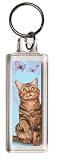 Summer Breeze Cat Keyring