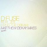 Living the Dream [DISC 2] [12" VINYL]