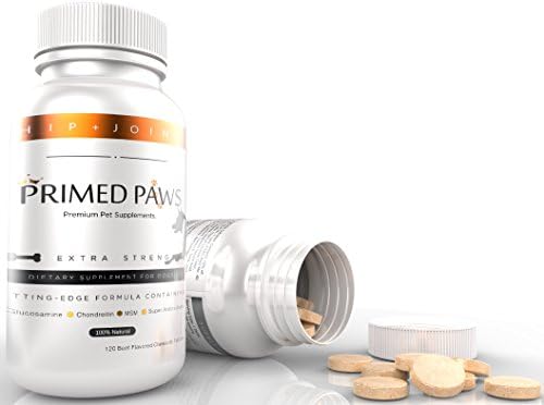 Dog Medicine For Joints in Pain ★ Featured on FOX, NBC, CBS, ABC News ★ 2 BONUS Ebooks ★ Best Hip And Joint Dog Health Supplement ★ Glucosamine For Dogs with Chondroitin MSM ★ Arthritis Relief