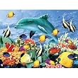 Something Fishy 550 pc Jigsaw Puzzle by White Mountain