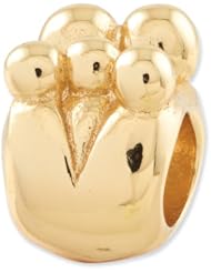Sterling Silver Gold plated Reflections Family of 5 Bead