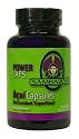 SAMBAZON Powercaps Acai Capsules, 60-Count Bottle (Pack of 2)