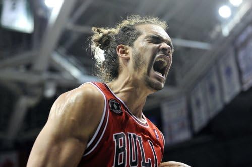 Joakim Noah Chicago Bulls Basketball Photo Poster 8x10 #1