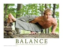 Mind, Body & Spirit Motivational Poster Print Series - 8 Poster Laminated Set: Balance, Moderation, Wellness, Perspective, Character, Patience, Wisdom, Integrity.