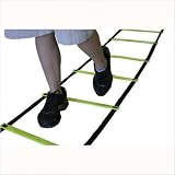 30' Speed Agility Ladder