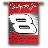 Dale Earnhardt Jr.#8 NASCAR 3 x 5 Premier 2-Sided Banner Flag