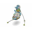 Fisher-Price Precious Planet Open Top Cradle Swing