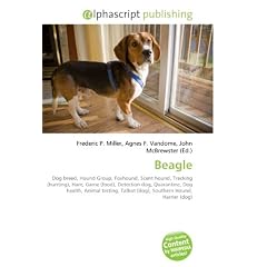 Beagle
