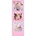 Unframed Posters - Rachel Hale " Three Little Pigs"( 12 x 36")