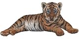 Walls of the Wild Tiger Cub