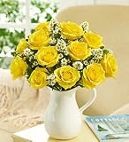 Flowers by 1800Flowers - Pitcher Full of Roses - One Dozen Yellow Roses